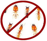 descupinizacao-no-Jaguaré